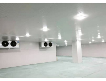 廣東完美400㎡日用品恒溫庫(kù)、冷藏庫(kù)（防爆冷庫(kù)）工程建造方案