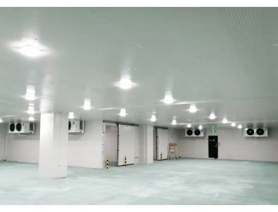 廣東完美400㎡日用品恒溫庫(kù)、冷藏庫(kù)（防爆冷庫(kù)）工程建造方案